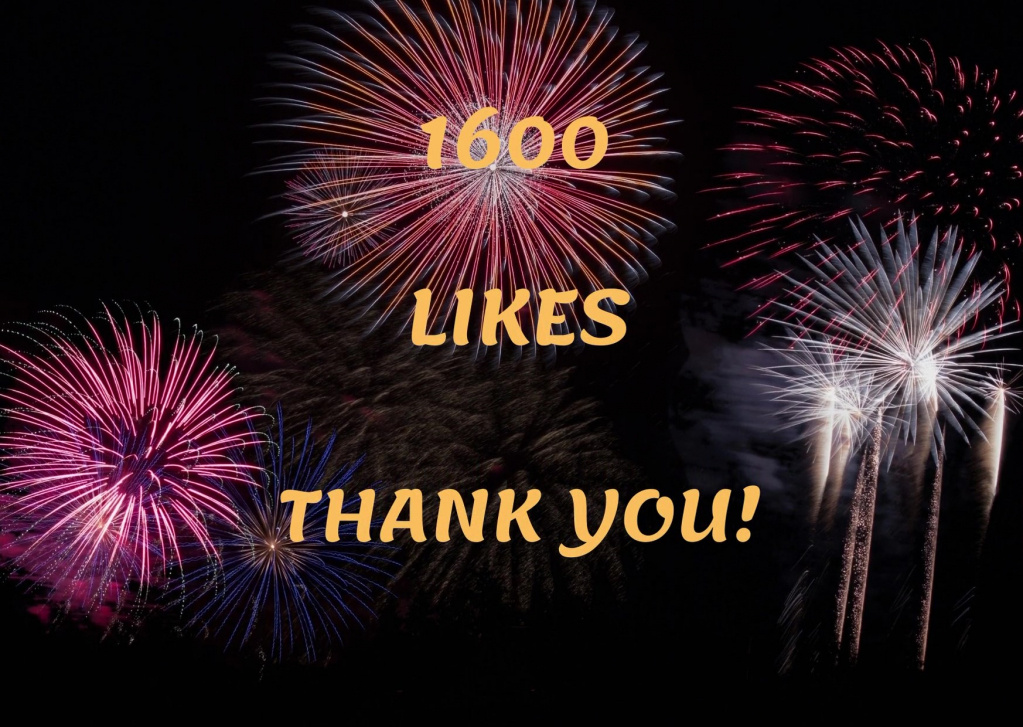 1600 Likes on Facebook